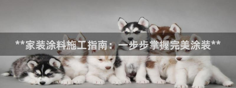 和记官网登录：**家装涂料施工指南：一步步掌握完美涂装**