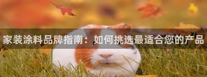 和记官网首页：家装涂料品牌指南：如何挑选最适合您的产品