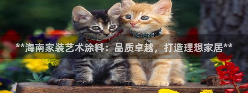 和记电业集团：**海南家装艺术涂料：品质卓越，打造理想家居**