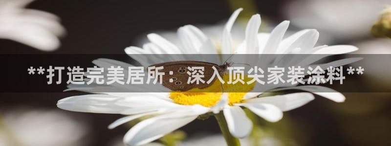 和记AG网站：**打造完美居所：深入顶尖家装涂料**