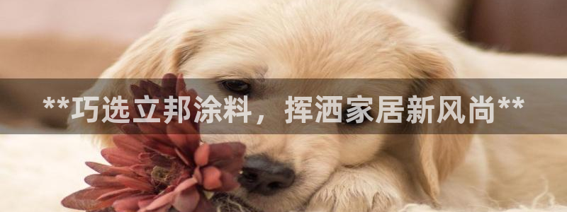 和记 官网：**巧选立邦涂料，挥洒家居新风尚**
