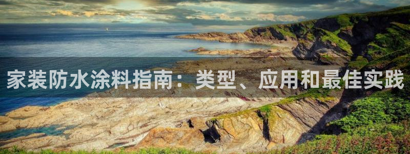和记国际：家装防水涂料指南：类型、应用和最佳实践
