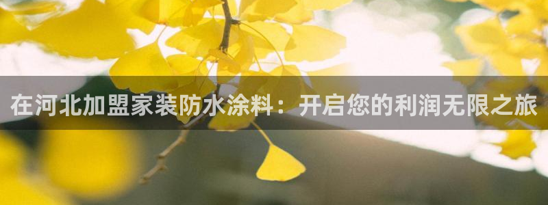 和记AG：在河北加盟家装防水涂料：开启您的利润无限之旅