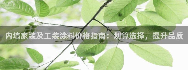 和记官网[中国]官方网站：内墙家装及工装涂料价格指南：划算选择，提升品质
