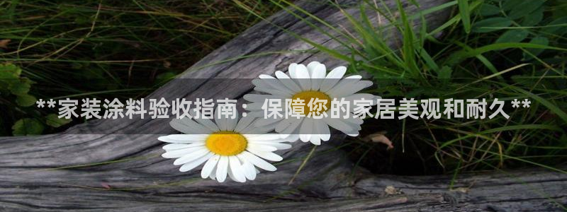 和记ag：**家装涂料验收指南：保障您的家居美观和耐久**