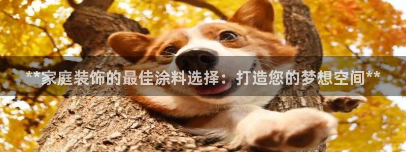 和记平台怎么样：**家庭装饰的最佳涂料选择：打造您的梦想空间**