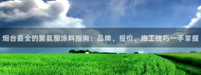 和记app官网登录：烟台最全的聚氨酯涂料指南：品牌、报价、施工技巧一手掌握