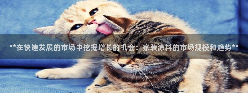 和记官方平台：**在快速发展的市场中挖掘增长的机会：家装涂料的市场规模和趋势**