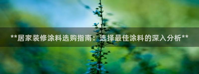 和记港口：**居家装修涂料选购指南：选择最佳涂料的深入分析**