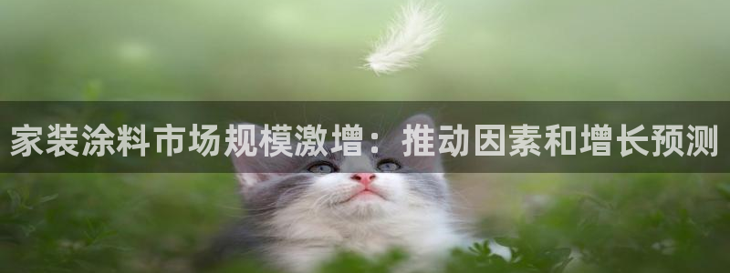 和记 中国官网：家装涂料市场规模激增：推动因素和增长预测