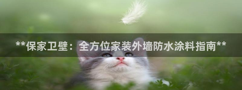 和记国际官网官网：**保家卫壁：全方位家装外墙防水涂料指南**