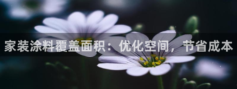 和记官方直营：家装涂料覆盖面积：优化空间，节省成本