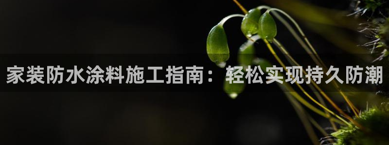 和记h8