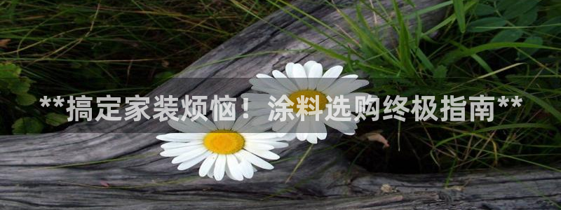 和记国际官网官网：**搞定家装烦恼！涂料选购终极指南**