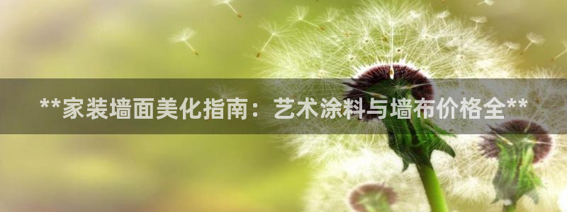 和记国际听：**家装墙面美化指南：艺术涂料与墙布价格全**