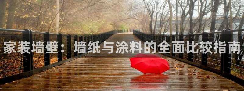 青岛大生和记餐饮管理有限公司：家装墙壁：墙纸与涂料的全面比较指南