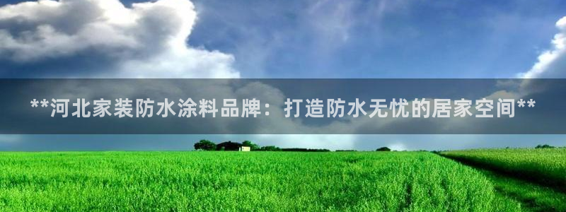 和记旗舰厅：**河北家装防水涂料品牌：打造防水无忧的居家空间**
