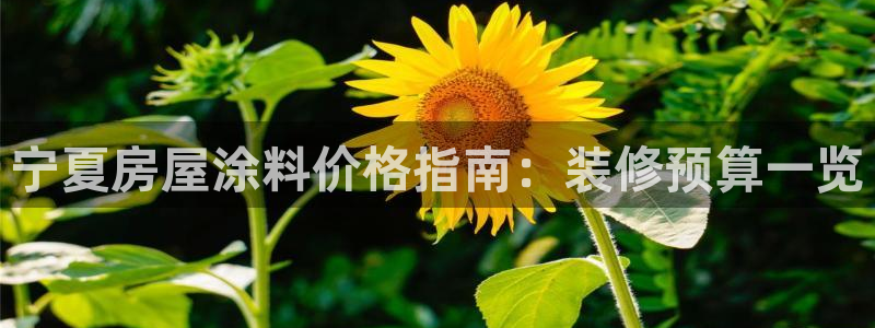 和记ag：宁夏房屋涂料价格指南：装修预算一览