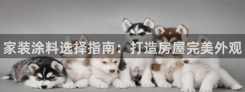 和记 中国官网：家装涂料选择指南：打造房屋完美外观