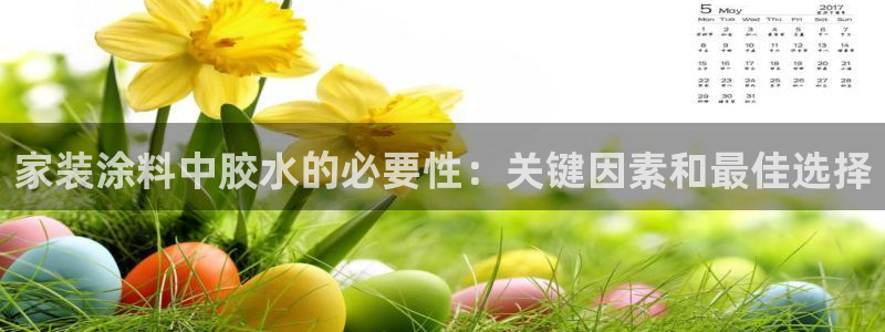 和记5g电讯：家装涂料中胶水的必要性：关键因素和最佳选择