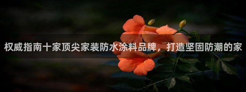和记官方平台：权威指南十家顶尖家装防水涂料品牌，打造坚固防潮的家