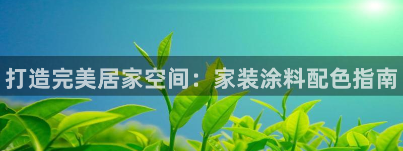 和记2017app：打造完美居家空间：家装涂料配色指南