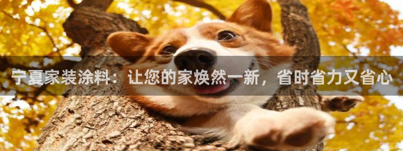 江苏和记数码科技有限公司