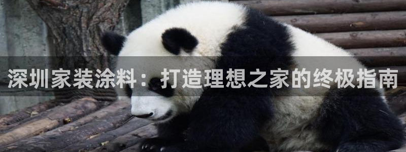 和记国际开户网站