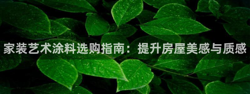 和记h8