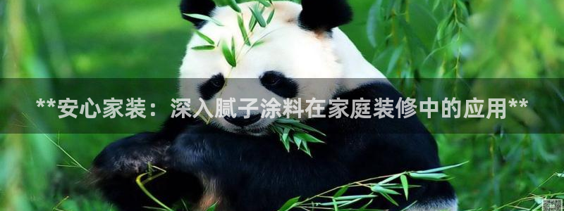 和记 首页：**安心家装：深入腻子涂料在家庭装修中的应用**
