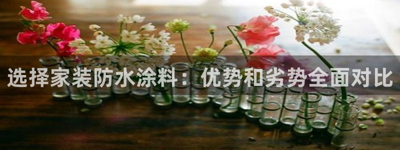 和记h188：选择家装防水涂料：优势和劣势全面对比