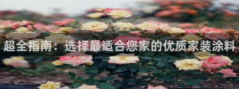 和记ag旗舰国际：超全指南：选择最适合您家的优质家装涂料