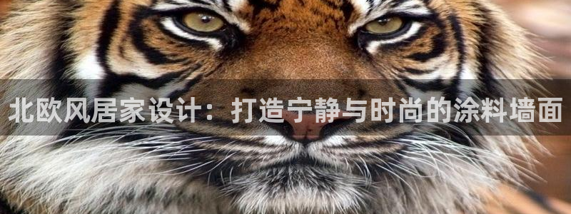 ag和记app：北欧风居家设计：打造宁静与时尚的涂料墙面