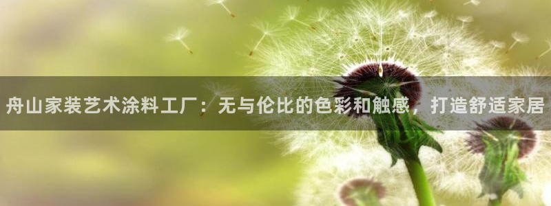 和记官方：舟山家装艺术涂料工厂：无与伦比的色彩和触感，打造舒适家居