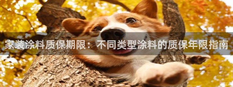 和记 中国首页：家装涂料质保期限：不同类型涂料的质保年限指南