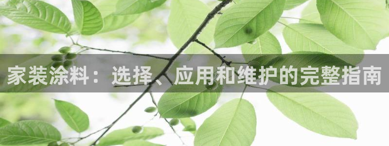 和记平台：家装涂料：选择、应用和维护的完整指南