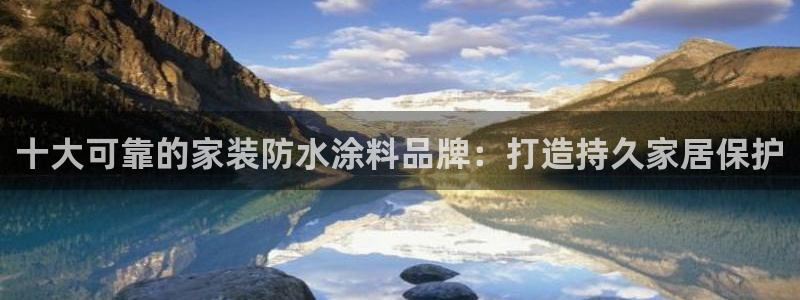 和记h88游戏：十大可靠的家装防水涂料品牌：打造持久家居保护
