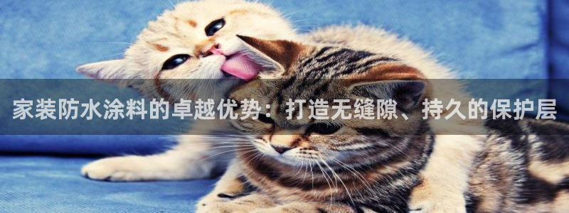 和记AG网站：家装防水涂料的卓越优势：打造无缝隙、持久的保护层