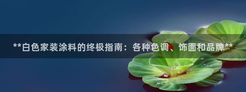 和记官网登录：**白色家装涂料的终极指南：各种色调、饰面和品牌**
