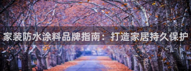 和记电业集团：家装防水涂料品牌指南：打造家居持久保护