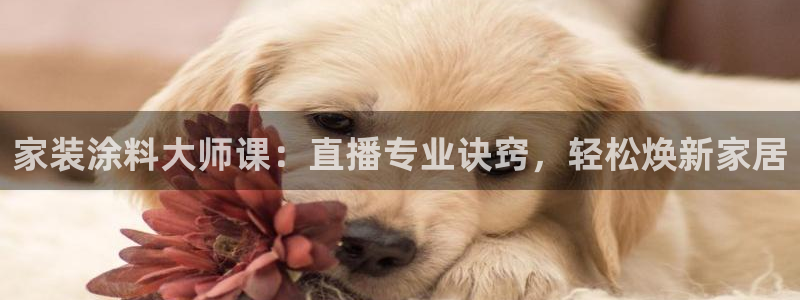 ag和记app