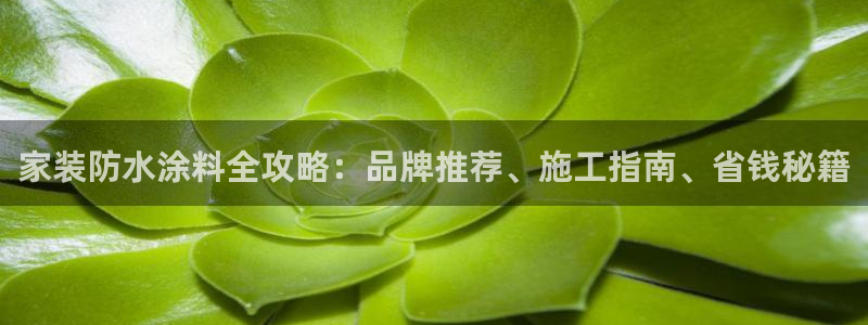 和记ag网页版