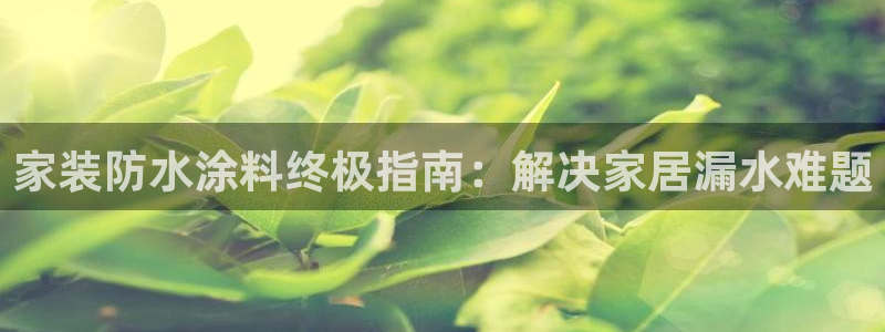 和记2017app：家装防水涂料终极指南：解决家居漏水难题