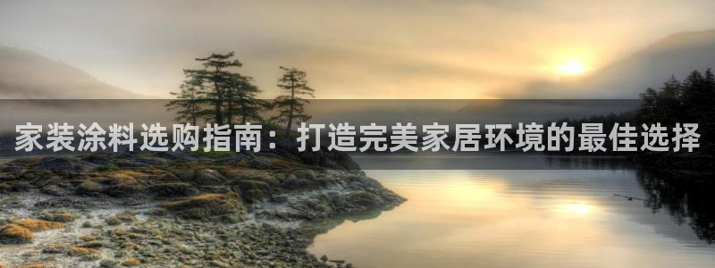 和记paging：家装涂料选购指南：打造完美家居环境的最佳选择