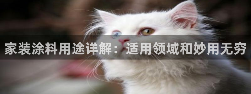 和记 官网：家装涂料用途详解：适用领域和妙用无穷
