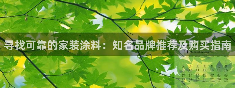 和记国际：寻找可靠的家装涂料：知名品牌推荐及购买指南
