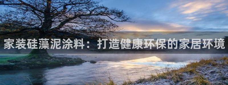 和记官方直营：家装硅藻泥涂料：打造健康环保的家居环境