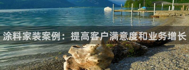 和记官方：涂料家装案例：提高客户满意度和业务增长