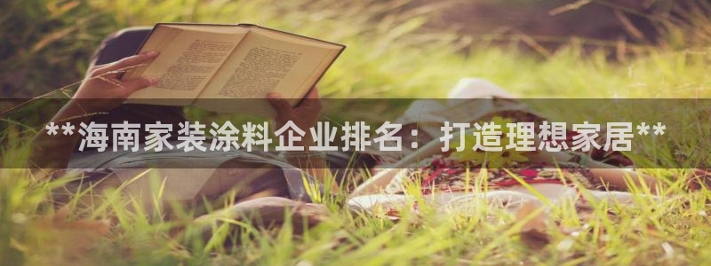 和记下载：**海南家装涂料企业排名：打造理想家居**