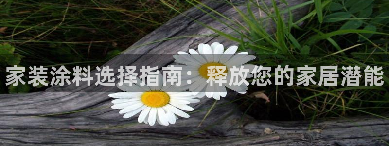 和记Ag：家装涂料选择指南：释放您的家居潜能